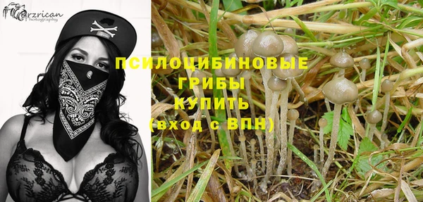 a pvp Армянск