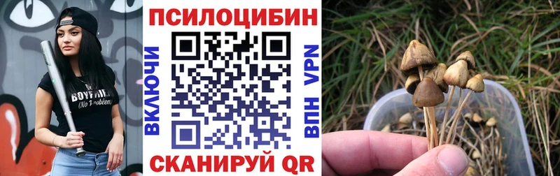 MEGA   Бавлы  Галлюциногенные грибы Cubensis  закладки 